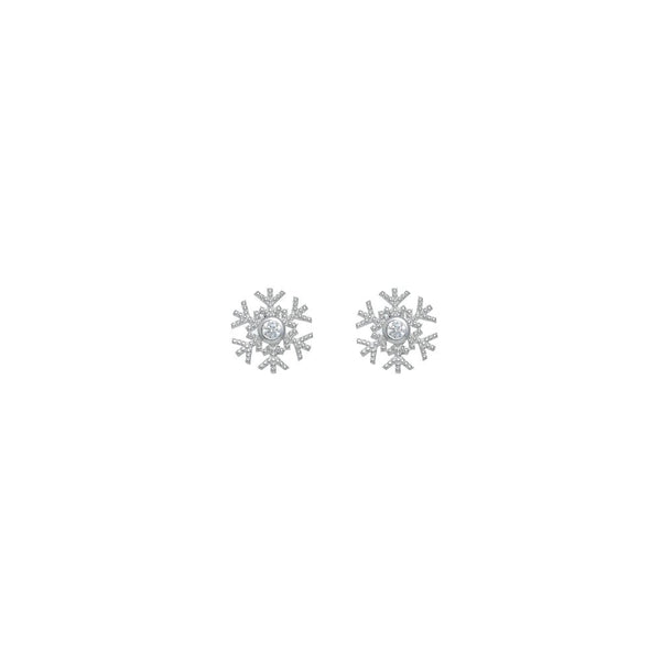 925 Silver Snowfall Sparkle Earring